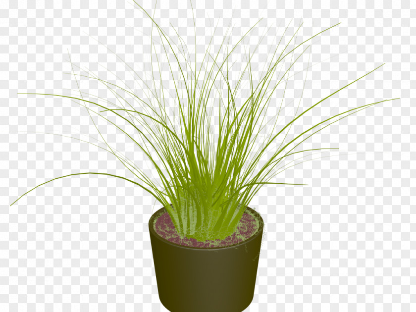 Abby Mallard Plant Clip Art PNG