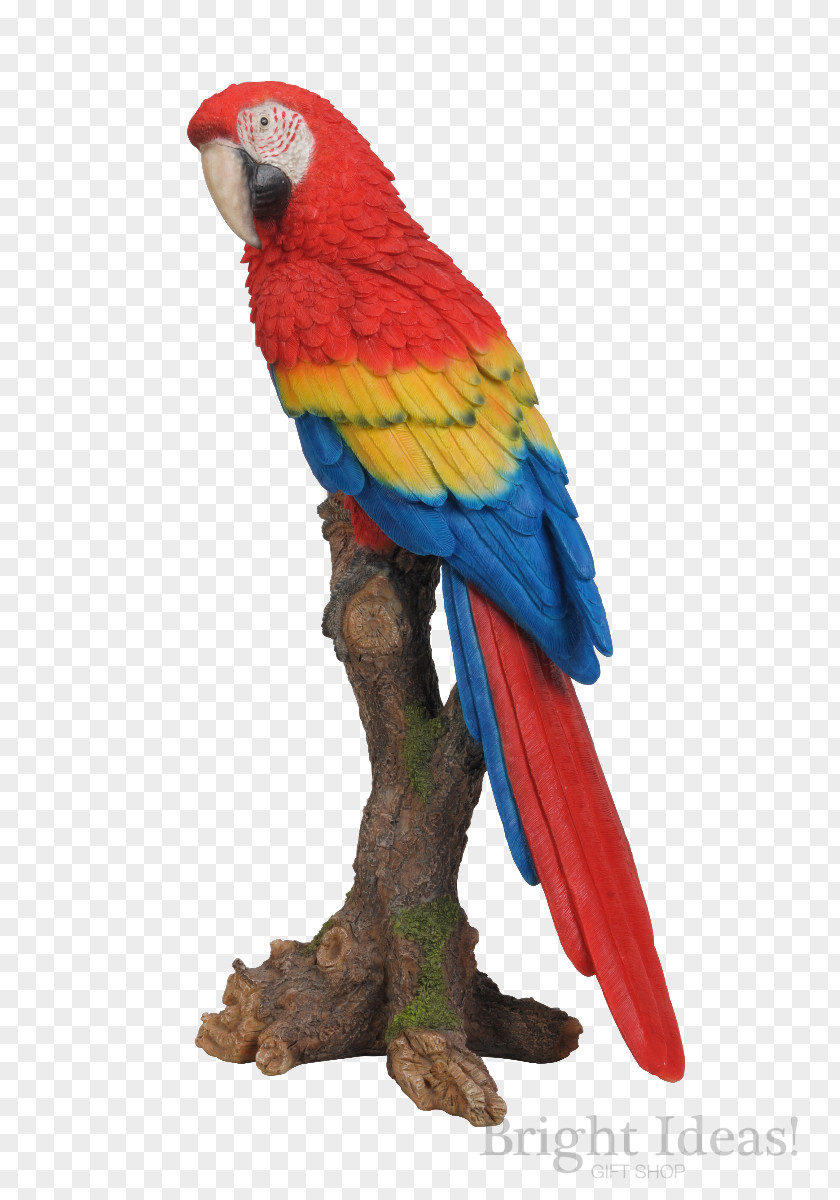 Bird Budgerigar Scarlet Macaw Lovebird PNG