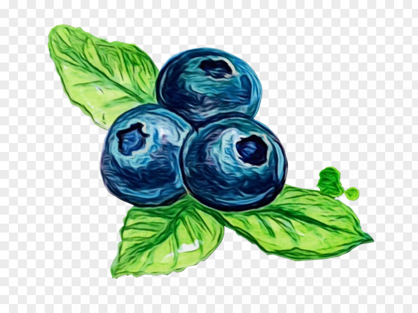 Blueberry Flower Leaf Blue Plant Berry Bilberry PNG