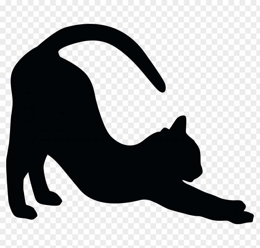 Cat Noir American Shorthair British Black Sticker Decal PNG