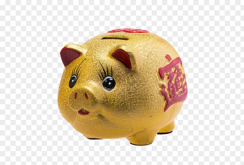 Golden Pig Piggy Bank Stock Photography PNG