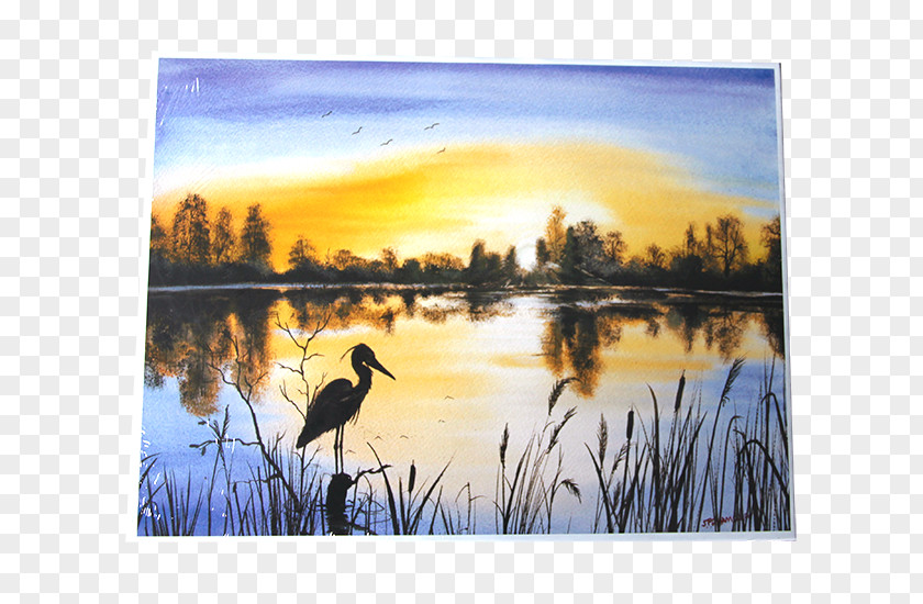 Painting Watercolor Bayou Bird PNG