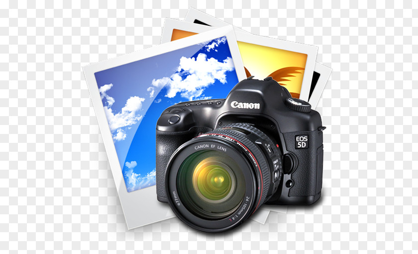 Photo Cameras Canon EOS 10D Raw Image Format PNG