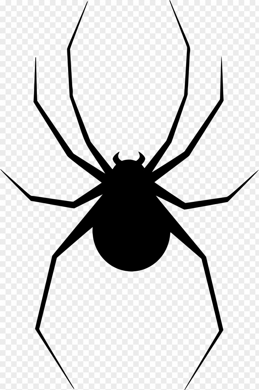 Scars Spider Web Clip Art PNG
