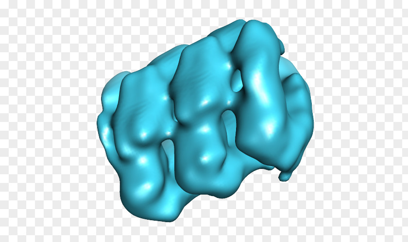 Turquoise Jaw Organism PNG