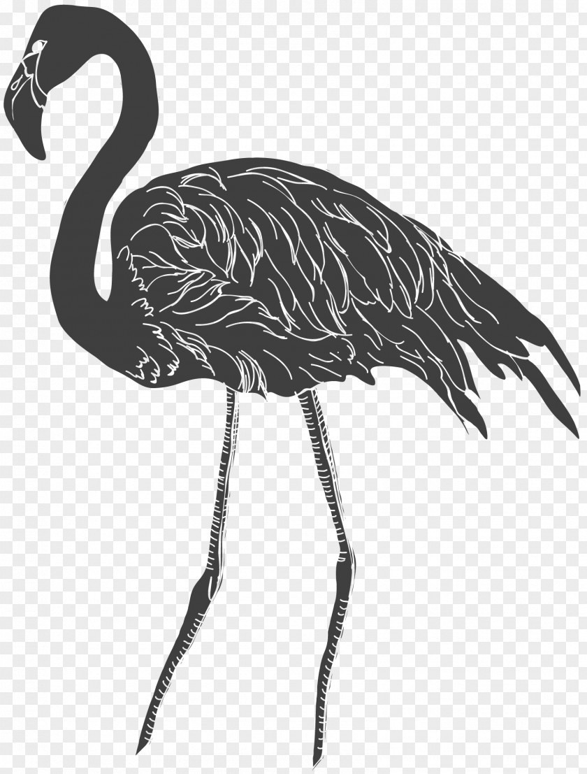 Black Pattern Crane Red-crowned Bird And White PNG