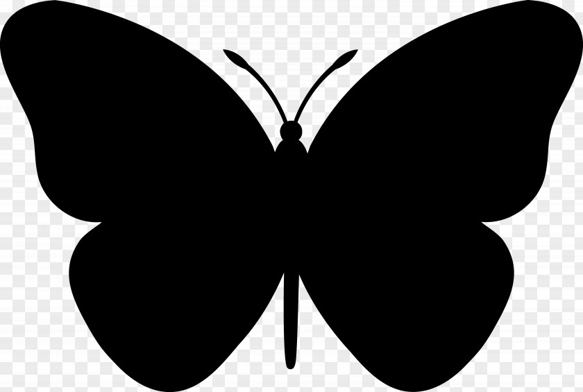 Clip Art Butterfly Silhouette Image PNG