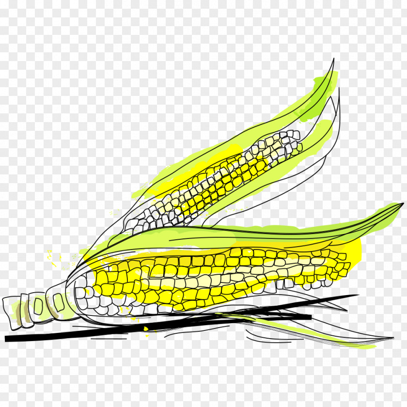 Corn Icon PNG