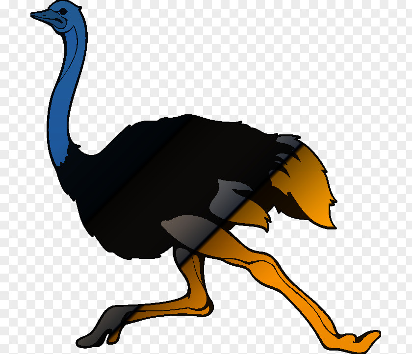 Ostrich Flightless Bird Common Goose Cygnini PNG