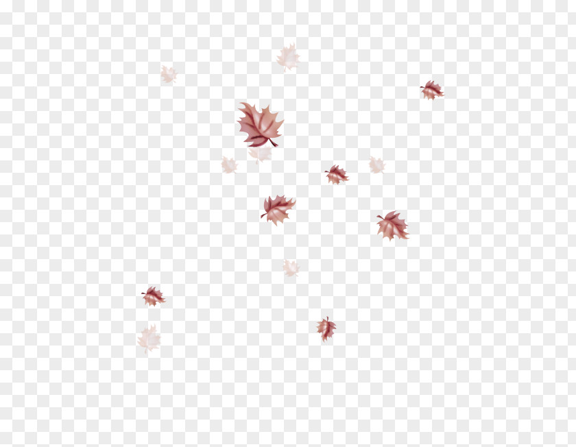 Plant Petal White Pink Red Line Leaf PNG