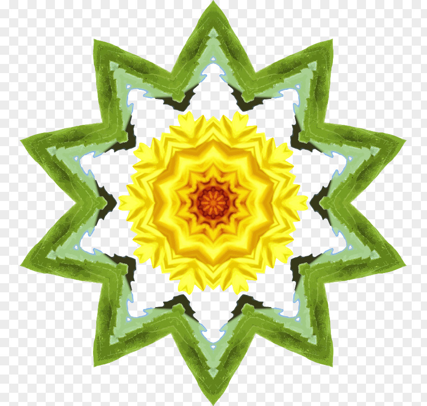 Sun Flower Game Android Organization System PNG
