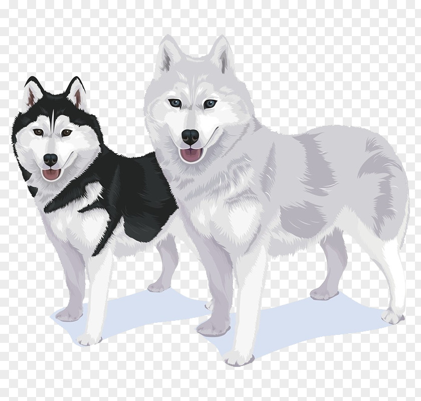 Vector Black Gray Wolf Alaskan Malamute Siberian Husky Reindeer Sled Dog PNG