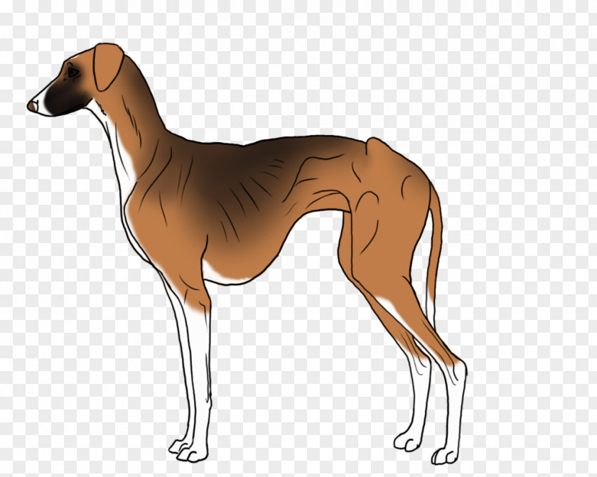 Battery Drawing Spanish Greyhound Polish Azawakh Mudhol Hound PNG