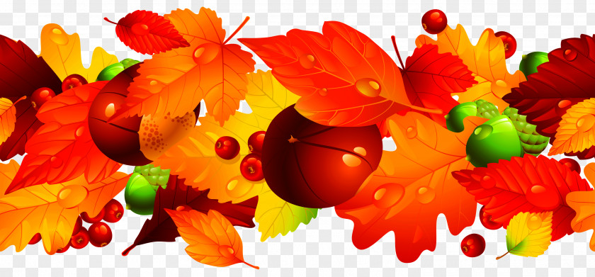 Flower Fruit Autumn PNG