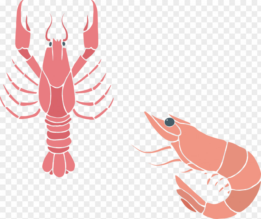Monochromatic Lobster Seafood Caridea Crayfish As Food PNG