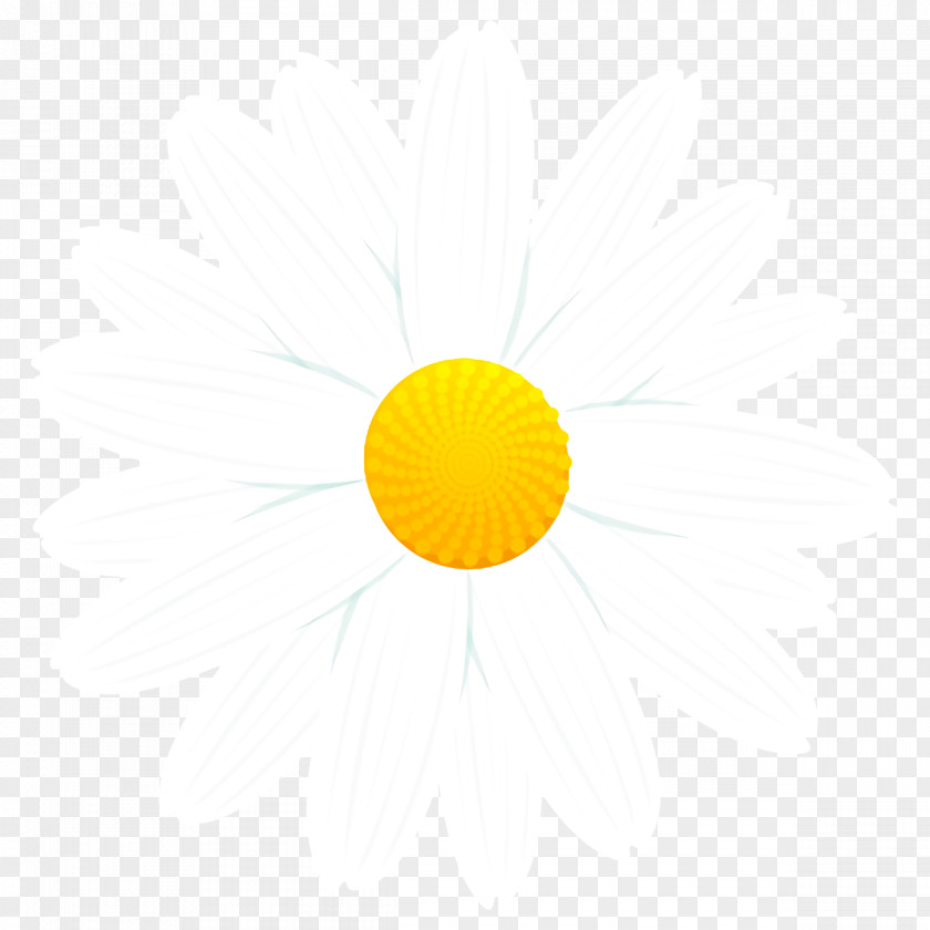 Smile Logo Yellow Sky Circle PNG