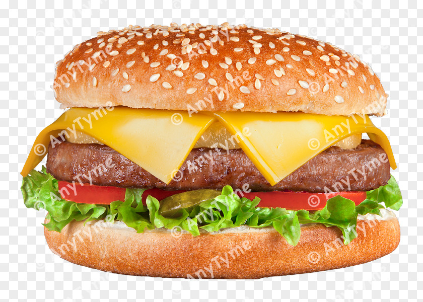Burger Van French Fries Cheeseburger Chicken Sandwich Hamburger PNG