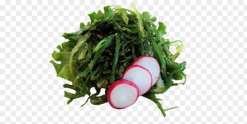Health Kelp Edible Seaweed Wakame Algae PNG