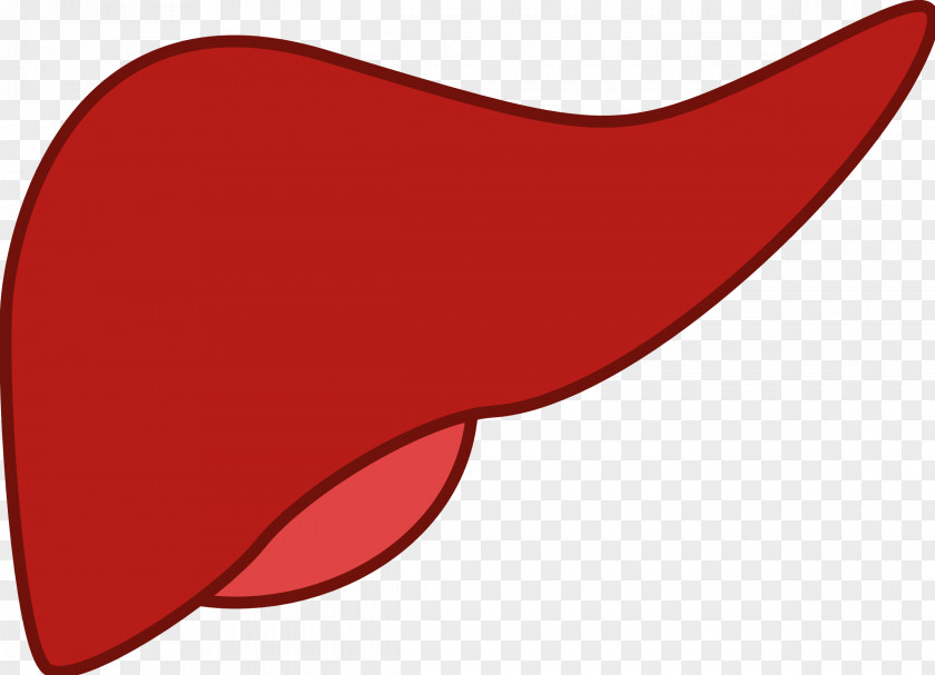 Kidney Non-alcoholic Fatty Liver Disease Clip Art PNG