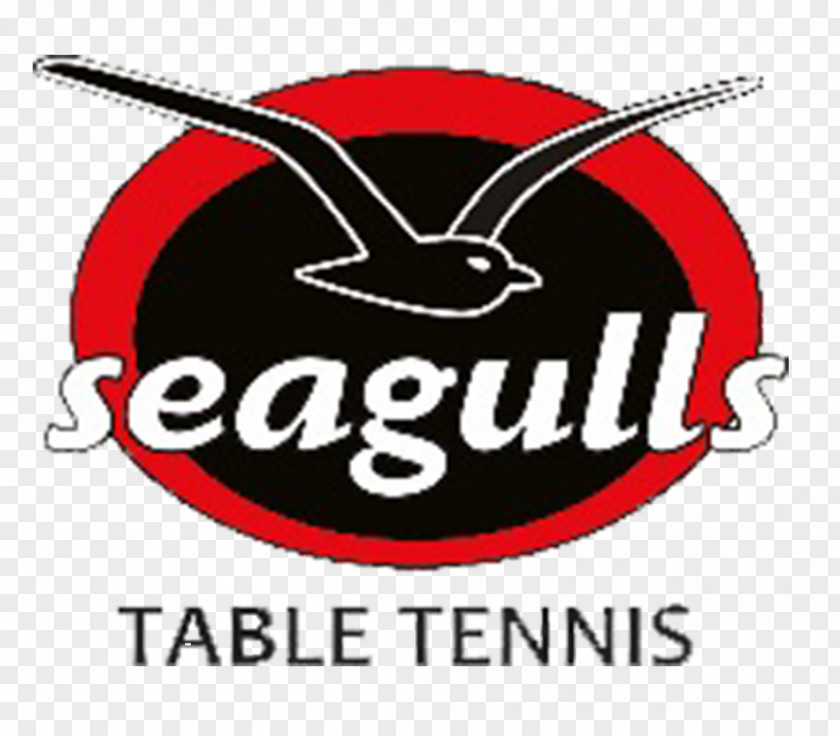 Table Tennis Seagulls Club Star Buffet Tweed Heads Lot Two Organization PNG
