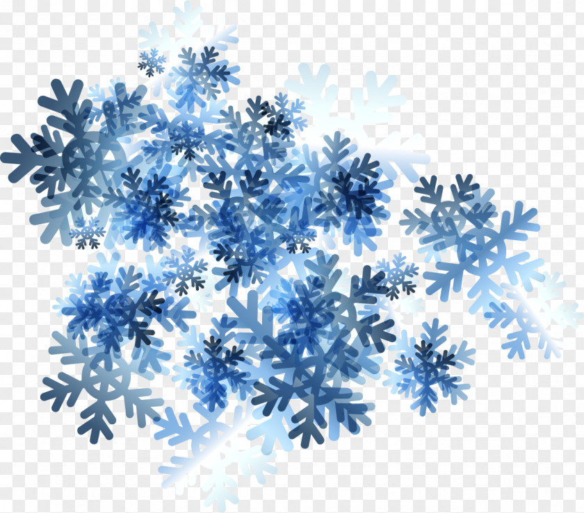 Beautiful Snowflake Flowers Icon PNG