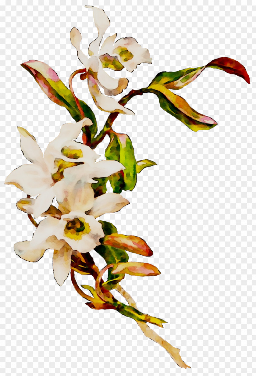 Clip Art Flower Image Desktop Wallpaper PNG