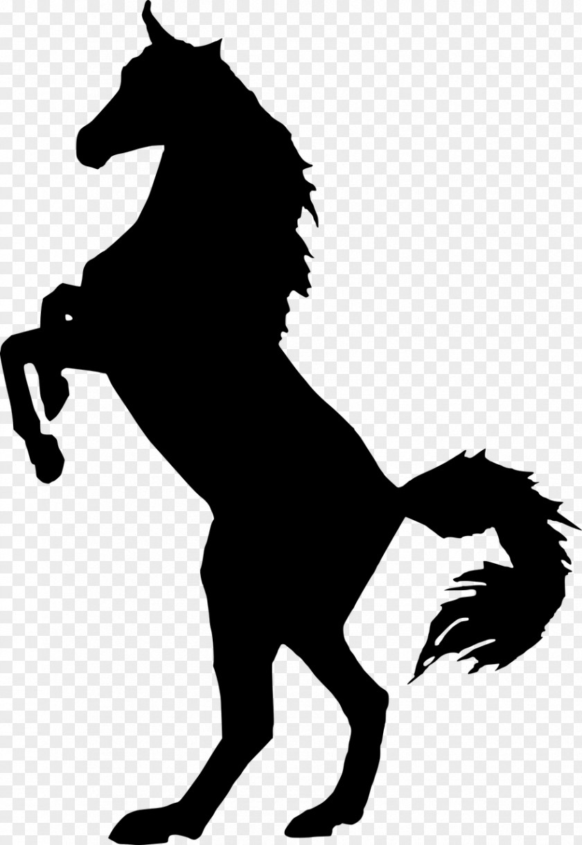 Horse Vector Clip Art Graphics Image PNG