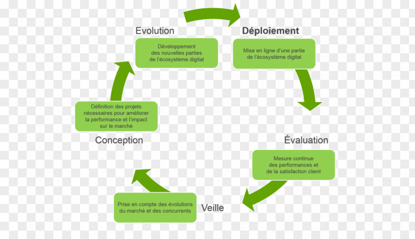 Organization Master Data Management Goal Orientation Customer PNG