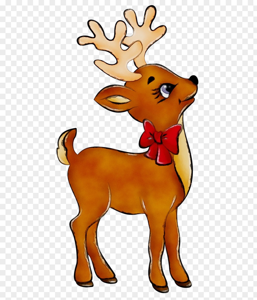 Wildlife Fawn Reindeer PNG