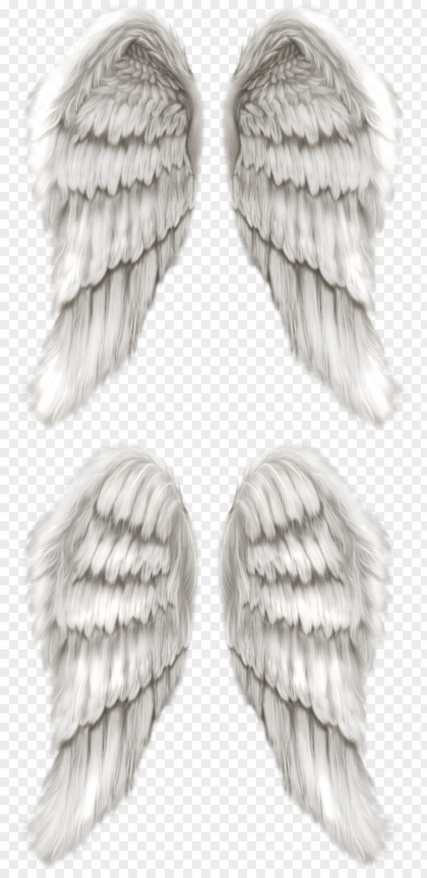 Wing Cherub Angel PNG