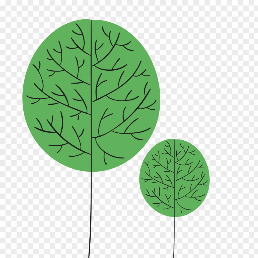 Green Tree Leaf PNG