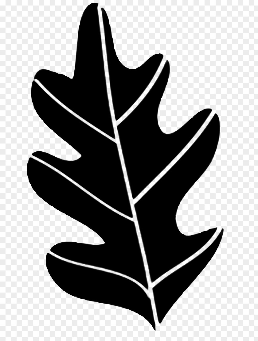 Hand Woody Plant Leaf Logo PNG