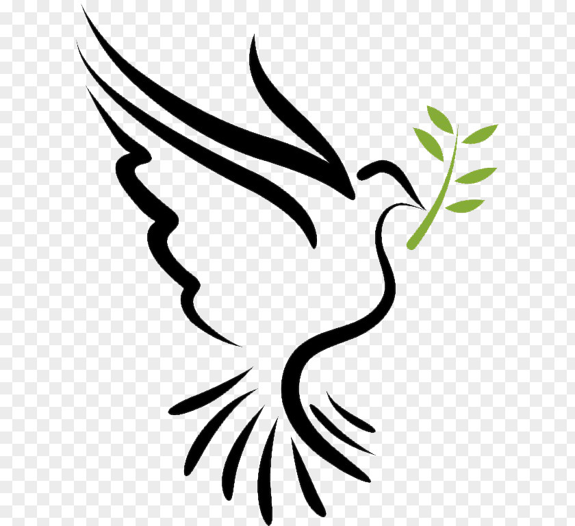 Holy Spirit Bible Doves As Symbols Columbidae PNG