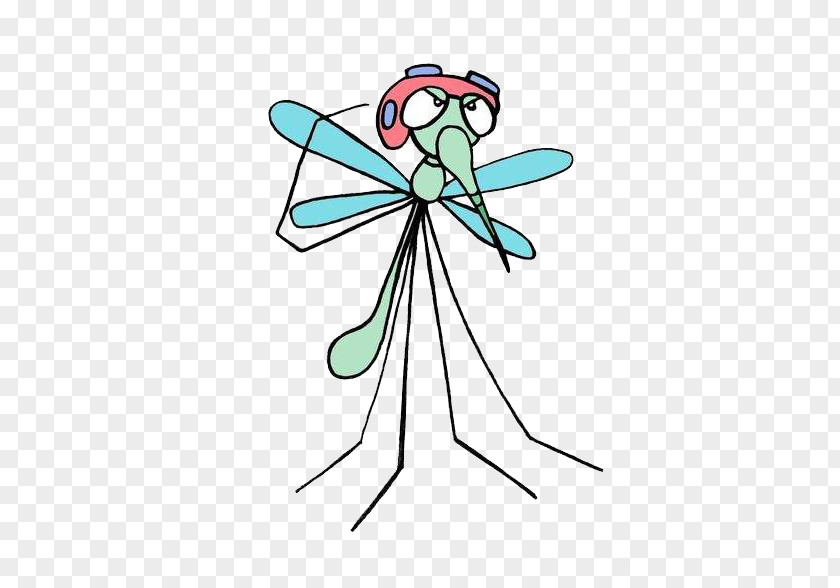 Mosquito,mosquito Mosquito Net PNG