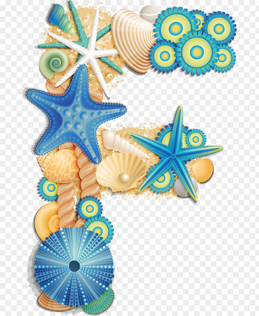 Seashell Alphabet Sea Urchin Letter PNG