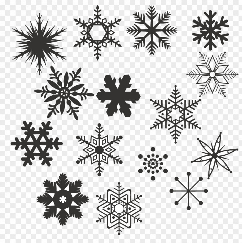 Snow Is Black And White Snowflake PNG