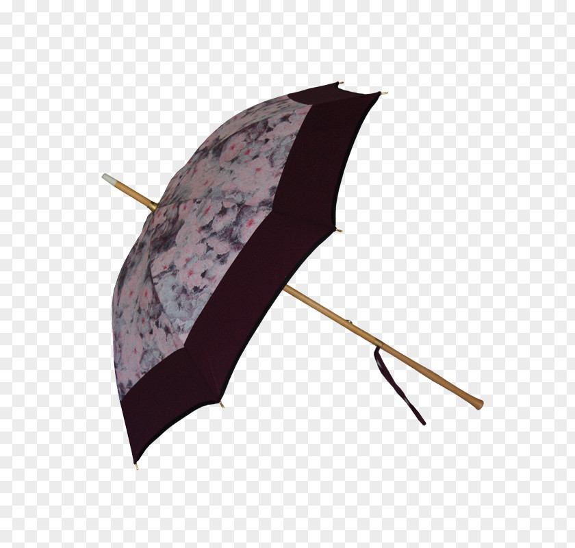 Umbrella Ombrelle Walking Stick Crook, Cumbria PNG