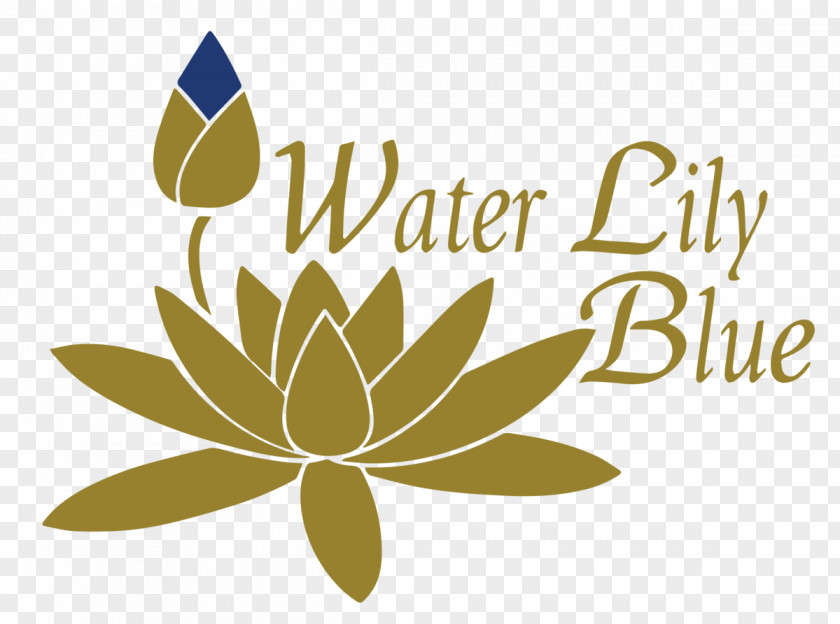 Water Lilies Lilium PNG