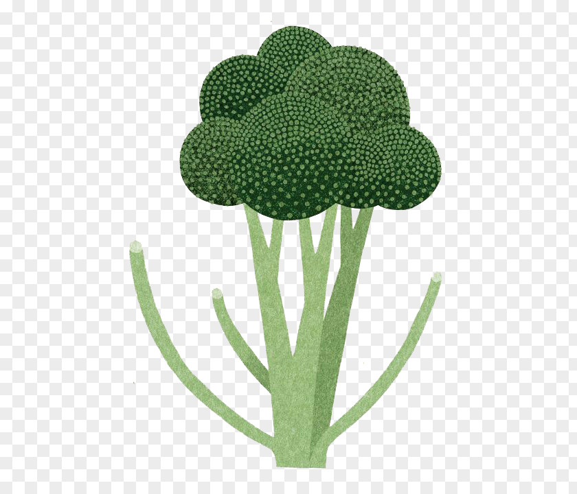 Watercolor Broccoli Tokyo Illustrator Drawing Art Illustration PNG