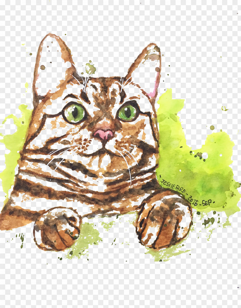 Yellow Cat Tabby Kitten Watercolor Painting Illustration PNG