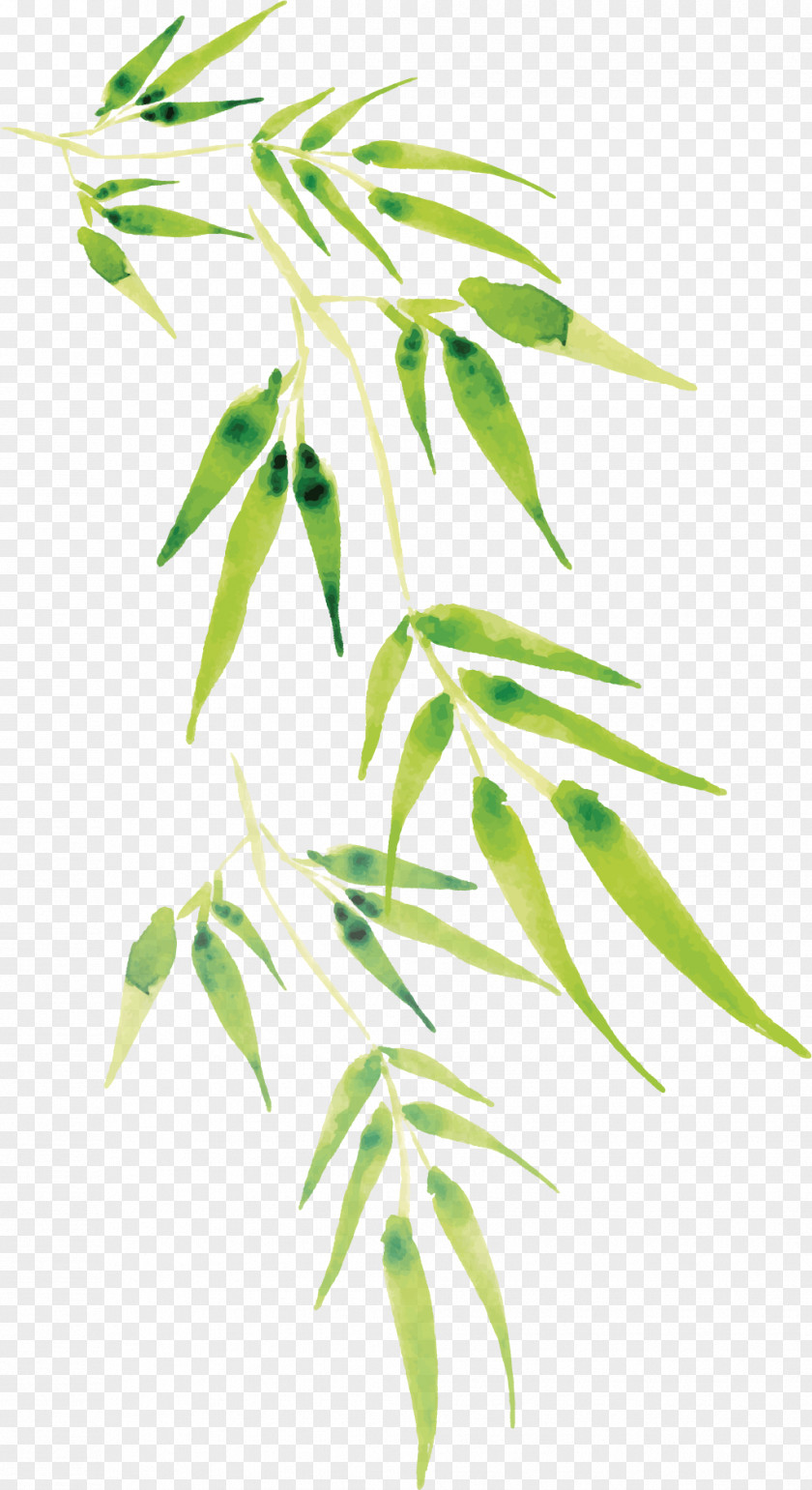 Cartoon Bamboo Vector PNG