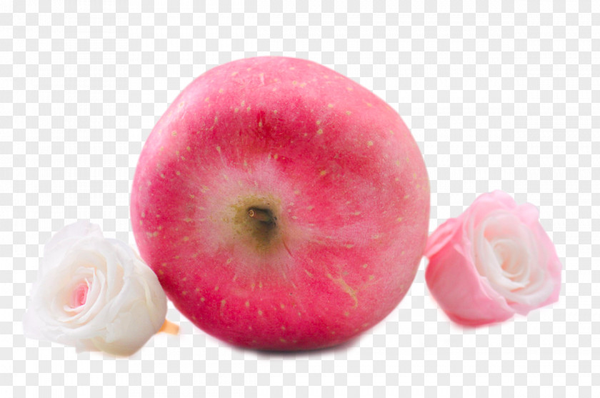 Delicious Apple Red Fuji PNG