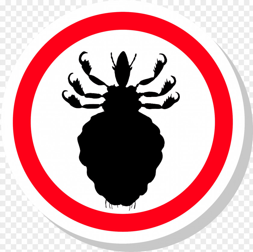 Head Louse Stock Photography PNG