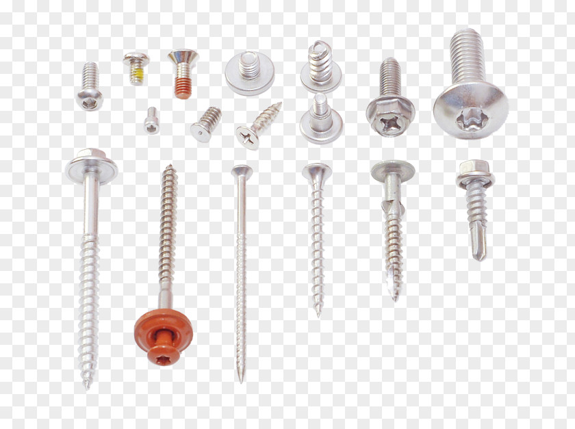 Metal Screw Fastener Self-tapping Stainless Steel ISO Metric Thread PNG