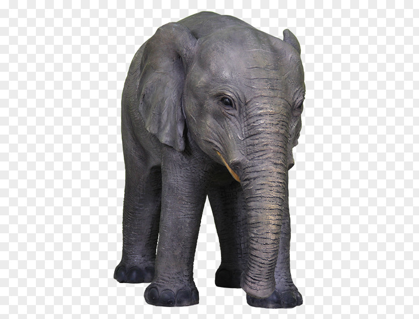 Elephant Motif Indian African Wildlife Terrestrial Animal PNG