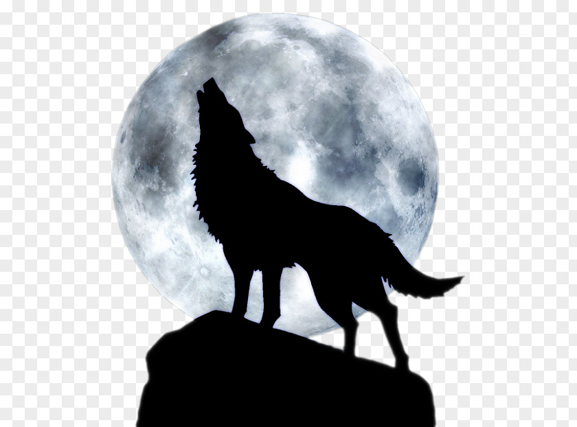 Full Moon Howl Dog Arctic Wolf Three T-shirt PNG