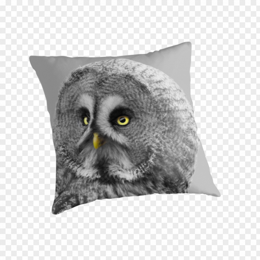 Great Grey Owl Throw Pillows Cushion Beak Snout PNG