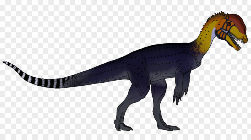 Dinosaur Dilophosaurus Velociraptor Herrerasaurus Maiasaura PNG