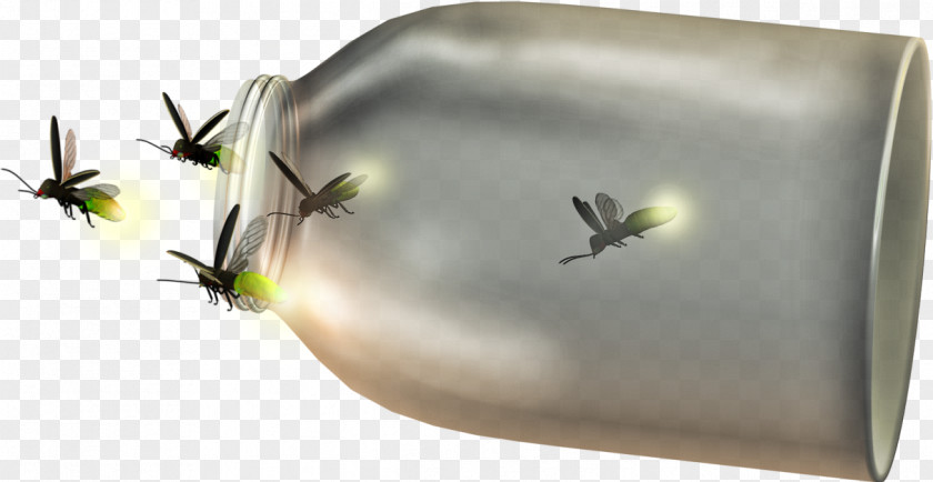 Firefly Bottle Material Free To Pull Clip Art PNG
