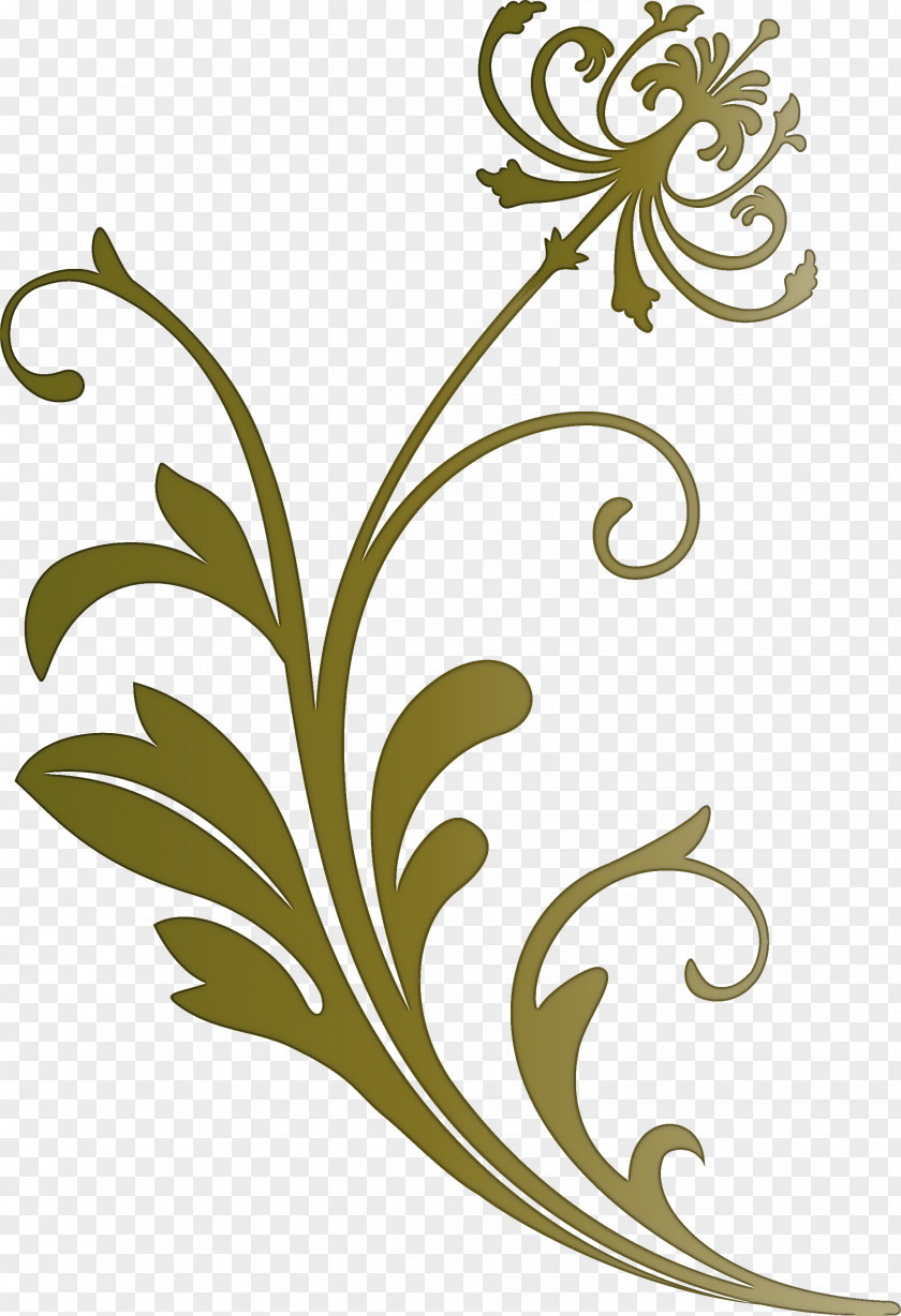 Flower Frame Decoration PNG